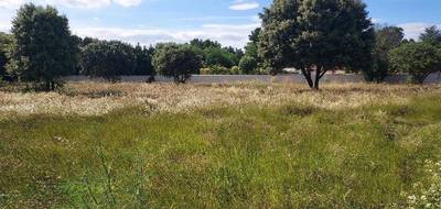 Terrain seul à Jonquières en Vaucluse (84) de 600 m² à vendre au prix de 140000€ - 3