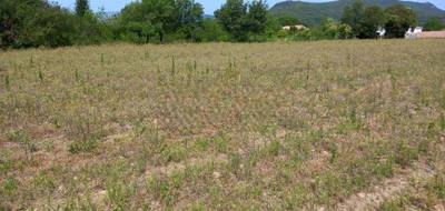 Terrain seul à Hérépian en Hérault (34) de 1347 m² à vendre au prix de 110000€ - 3