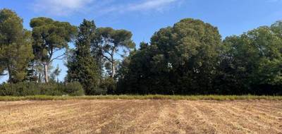 Terrain seul à Carpentras en Vaucluse (84) de 492 m² à vendre au prix de 139900€ - 2