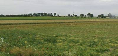 Terrain seul à Baralle en Pas-de-Calais (62) de 536 m² à vendre au prix de 53500€ - 3