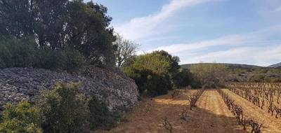 Programme terrain + maison à Caves en Aude (11) de 90 m² à vendre au prix de 250000€ - 4