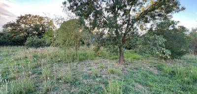 Terrain seul à Saint-Jean-de-la-Blaquière en Hérault (34) de 555 m² à vendre au prix de 92000€ - 4