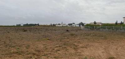 Terrain seul à Montady en Hérault (34) de 330 m² à vendre au prix de 100500€ - 1