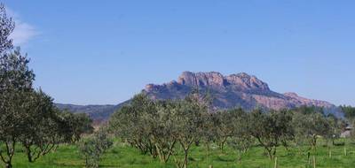 Terrain seul à Roquebrune-sur-Argens en Var (83) de 1036 m² à vendre au prix de 280000€ - 1