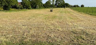 Terrain seul à Douchy-lès-Ayette en Pas-de-Calais (62) de 4000 m² à vendre au prix de 120000€ - 2