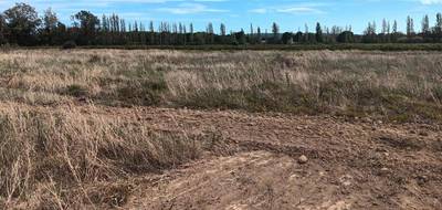 Terrain seul à Coursan en Aude (11) de 299 m² à vendre au prix de 84900€ - 1