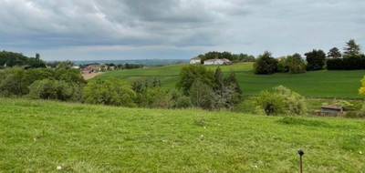 Terrain seul à Bassercles en Landes (40) de 1905 m² à vendre au prix de 25000€ - 1