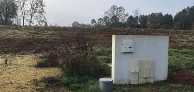 Terrain seul à Saint-Martin-d'Oney en Landes (40) de 721 m² à vendre au prix de 58343€ - 1