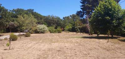 Terrain seul à Six-Fours-les-Plages en Var (83) de 441 m² à vendre au prix de 319000€ - 1