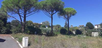 Terrain seul à Grasse en Alpes-Maritimes (06) de 650 m² à vendre au prix de 303000€ - 2