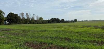 Terrain seul à Tilloy-lès-Hermaville en Pas-de-Calais (62) de 800 m² à vendre au prix de 50000€ - 1