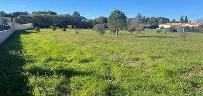 Terrain seul à Canet en Hérault (34) de 500 m² à vendre au prix de 139000€ - 2