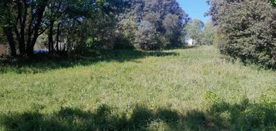 Terrain seul à Camps-la-Source en Var (83) de 970 m² à vendre au prix de 131000€ - 1