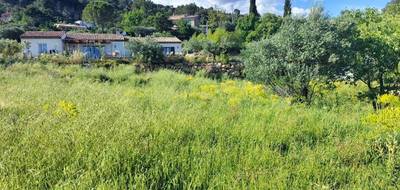 Terrain seul à Lorgues en Var (83) de 604 m² à vendre au prix de 100000€ - 3