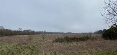 Terrain seul à Pont-l'Abbé-d'Arnoult en Charente-Maritime (17) de 300 m² à vendre au prix de 39500€ - 1