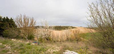 Terrain seul à Avignonet-Lauragais en Haute-Garonne (31) de 2243 m² à vendre au prix de 79000€ - 1