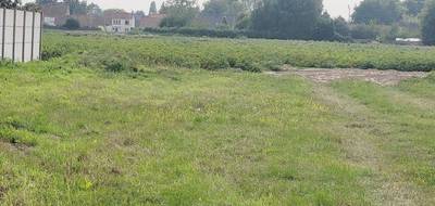 Terrain seul à Audruicq en Pas-de-Calais (62) de 440 m² à vendre au prix de 84000€ - 1