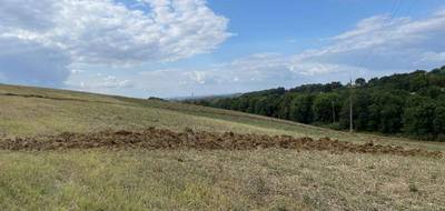 Terrain seul à Montfa en Tarn (81) de 1300 m² à vendre au prix de 59000€ - 1