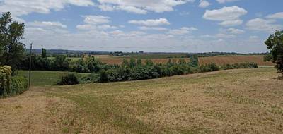 Terrain seul à Sainte-Livrade en Haute-Garonne (31) de 1000 m² à vendre au prix de 119900€ - 1