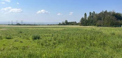 Terrain seul à Vigy en Moselle (57) de 1435 m² à vendre au prix de 150000€ - 4