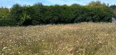 Programme terrain + maison à Civray-de-Touraine en Indre-et-Loire (37) de 80 m² à vendre au prix de 199900€ - 2