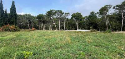 Terrain seul à Le Cannet en Alpes-Maritimes (06) de 1210 m² à vendre au prix de 345000€ - 1