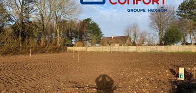 Programme terrain + maison à Habarcq en Pas-de-Calais (62) de 145 m² à vendre au prix de 303600€ - 3