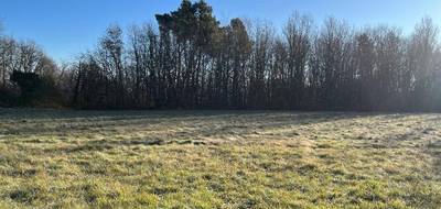 Terrain seul à Domme en Dordogne (24) de 3182 m² à vendre au prix de 37000€ - 2