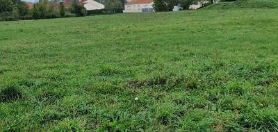 Terrain seul à Briosne-lès-Sables en Sarthe (72) de 2400 m² à vendre au prix de 51500€ - 3