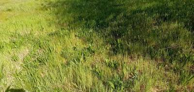 Terrain seul à Lanton en Gironde (33) de 341 m² à vendre au prix de 175000€ - 3