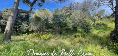 Terrain seul à Villeneuve-lès-Avignon en Gard (30) de 1000 m² à vendre au prix de 380000€ - 3