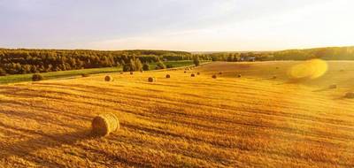 Terrain seul à Thuret en Puy-de-Dôme (63) de 1300 m² à vendre au prix de 60500€ - 2