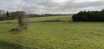 Terrain seul à Pont-l'Abbé-d'Arnoult en Charente-Maritime (17) de 515 m² à vendre au prix de 63925€ - 1