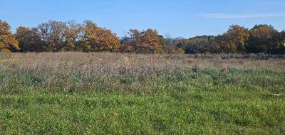 Terrain seul à Peynier en Bouches-du-Rhône (13) de 870 m² à vendre au prix de 330000€ - 3