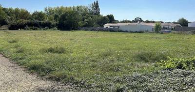 Programme terrain + maison à Dompierre-sur-Mer en Charente-Maritime (17) de 80 m² à vendre au prix de 428798€ - 4