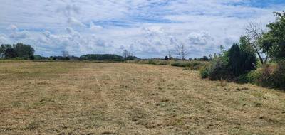 Terrain seul à Coulogne en Pas-de-Calais (62) de 425 m² à vendre au prix de 92700€ - 2