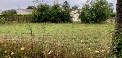 Terrain seul à Cognac en Charente (16) de 800 m² à vendre au prix de 48500€ - 1