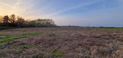 Programme terrain + maison à Préchacq-les-Bains en Landes (40) de 69 m² à vendre au prix de 191100€ - 3