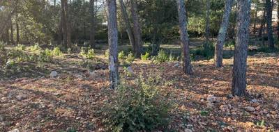 Terrain seul à Trans-en-Provence en Var (83) de 2241 m² à vendre au prix de 240000€ - 1