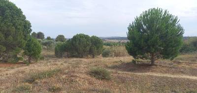 Terrain seul à Marcorignan en Aude (11) de 388 m² à vendre au prix de 116900€ - 2