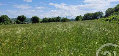 Terrain seul à Bonrepos en Hautes-Pyrénées (65) de 2326 m² à vendre au prix de 25000€ - 3