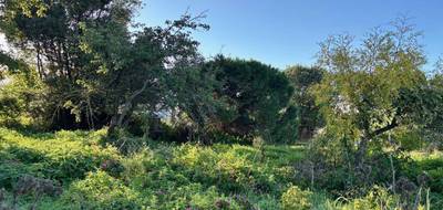 Terrain seul à Cannes en Alpes-Maritimes (06) de 460 m² à vendre au prix de 245000€ - 2