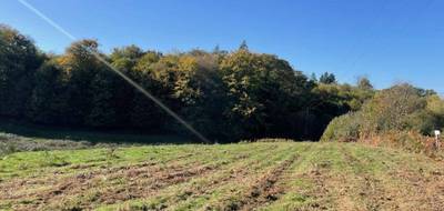 Terrain seul à Bonnac-la-Côte en Haute-Vienne (87) de 1300 m² à vendre au prix de 32500€ - 1