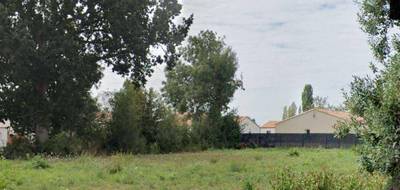 Programme terrain + maison à Les Brouzils en Vendée (85) de 90 m² à vendre au prix de 181841€ - 3