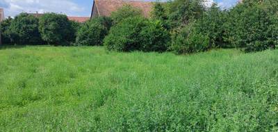 Terrain seul à Kunheim en Haut-Rhin (68) de 2000 m² à vendre au prix de 340000€ - 1