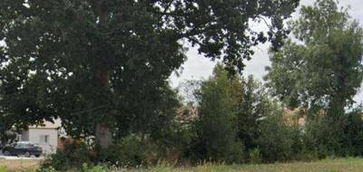 Programme terrain + maison à Les Brouzils en Vendée (85) de 80 m² à vendre au prix de 184609€ - 4
