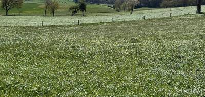 Terrain seul à Marcolès en Cantal (15) de 1767 m² à vendre au prix de 21200€ - 1