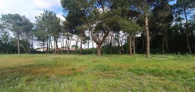 Terrain seul à Saint-Aubin-de-Médoc en Gironde (33) de 610 m² à vendre au prix de 262000€ - 3