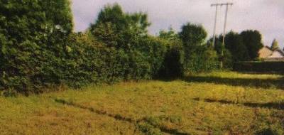 Programme terrain + maison à Rouy en Nièvre (58) de 79 m² à vendre au prix de 128698€ - 3