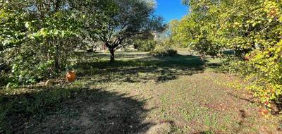 Terrain seul à Draguignan en Var (83) de 1000 m² à vendre au prix de 150000€ - 1